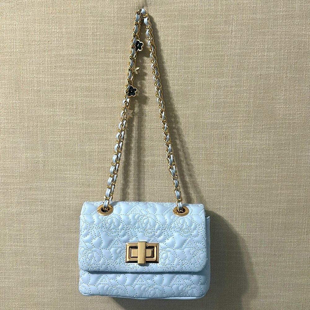 Aldo Handbag